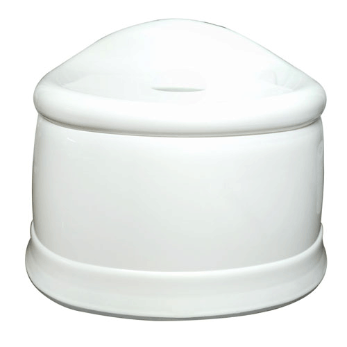 ��ǰ ������